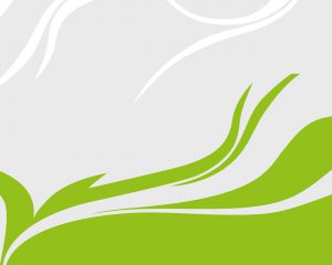 Hintergrund Friseurstübchen Dorn